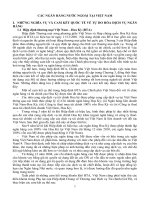 Tiểu luận Ngân hàng quốc tế : CÁC NGÂN HÀNG NƯỚC NGOÀI TẠI VIỆT NAM