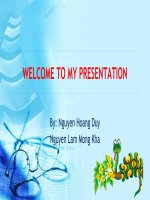 Tet holiday in Soc Trang