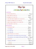 skkn giáo dục ý thức bảo vệ môi trường cho học sinh trong môn học vật lý lớp 6