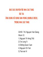 CHUYÊN ĐỀ ỨNG DỤNG SỬ DỤNG SÀN RỖNG (BUBBLE DECK) TRONG NHÀ CAO TẦNG