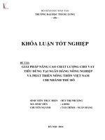 giải pháp nâng cao chất lượng cho vay tiêu dùng tại ngân hàng nông nghiệp và phát triển nông thôn việt nam chi nhánh thủ đô