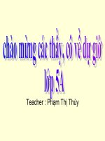 unit 10 : At the circus