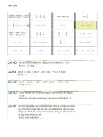 violimpic toan lop 5 vong 19 QUOC GIA