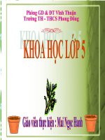 Giáo án lớp 5 - trang bìa