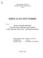quản lý rủi ro tín dụng tại ngân hàng thương mại cổ phần công thương việt nam - chi nhánh ba đình