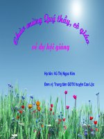 truyện kiều tiết 2 - tác giả