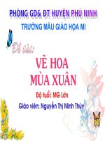 VẼ HOA MÙA XUÂN