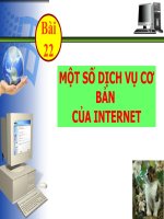 chim trắng mồ côi