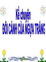 kể chuyện đôi cánh của ngựa trắng