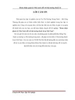 Hoàn thiện quản lý nhà nước đối với thị trường thuốc lá tại việt nam