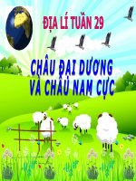 CHAU DAI DUONG VA CHAU NAM CUC.ppt