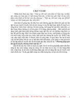 SKKN. Nên dung tham khao.cam sao chep