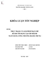 thực trạng và giải pháp hạn chế rủi ro tín dụng tại chi nhành ngân hàng công thương hai bà trưng