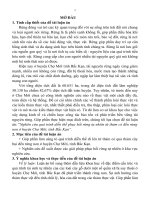 nghiên cứu quá trình diễn thế phục hồi rừng tự nhiên từ thảm cỏ đến rừng non ở huyện chợ mới, tỉnh bắc kạn.