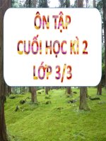 ON TAP CUOI HOC KI 2