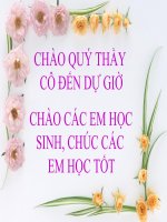 cây phát sinh giới động vật