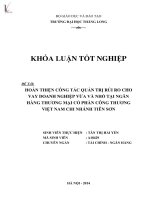 hoàn thiện công tác quản trị rủi ro cho vay doanh nghiệp vừa và nhỏ tại ngân hàng thương mại cổ phần công thương việt nam chi nhánh tiên sơn
