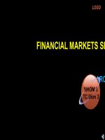 Tiểu luận thị trường tài chính : FINANCIAL MARKETS SERIES ISLAMIC FINANCE