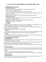 Chuyên đề các nền văn minh trên lãnh thổ Việt Nam