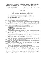 Báo cáo chuyên môn tháng 2