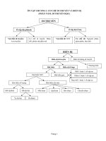 tai lieu on thi TN THPT