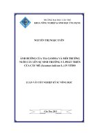 Ảnh hưởng của tia gamma và môi trường nuôi cấy lên sự sinh trưởng và phát triển của cây mè (sesamum indicum l ) in vitro