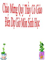 bài 55.ô nhiễm môi trường(tiếp)