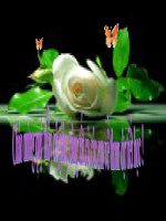 tiet 30: ban den choi nha