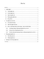 Tiểu luận Quản trị rủi ro : Rủi ro, cơ hội tăng trưởng và giá trị công ty  một vài vấn đề lý luận