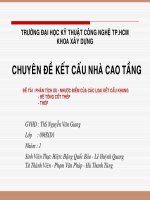 CHUYÊN ĐỀ KẾT CẤU NHÀ CAO TẦNG PHÂN TÍCH ƯU NHƯỢC ĐIỂM CỦA CÁC LOẠI KẾT CẤU KHUNG