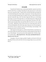 ĐỀ TÀI: Hiện tượng đô la hóa thực trạng và giải pháp khắc phục tác động tiêu cực tại Việt Nam