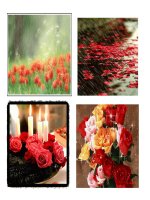 Hình động đẹp PowerPoint