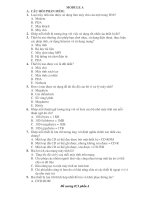 Tài liệu ôn thi IC3 rất là hay