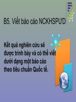Hướng dẫn báo cáo KHNCSPUD (SKKN)