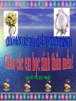 Tinh chat day ti so bang nhau