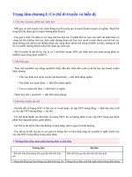 trong tâm chương 1 phần V