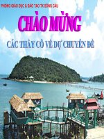 Tài liệu bội dưỡng HSG môn Địa lý