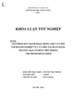 giải pháp đẩy mạnh hoạt động cho vay đối với doanh nghiệp vừa và nhỏ tại ngân hàng thương mại cổ phần tiên phong chi nhánh hoàn kiếm