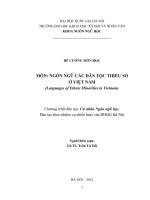 ĐỀ CƯƠNG MÔN HỌC   MÔN: NGÔN NGỮ CÁC DÂN TỘC THIỂU SỐ  Ở VIỆT NAM (Languages of Ethnic Minorities in Vietnam)