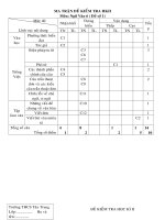 ĐỀ KIỂM TRA HKII NGỮ VĂN 6