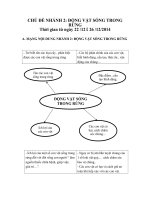 chủ đề nhánh động vật sống trong rừng