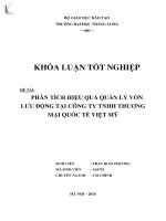 phân tích hiệu quả quản lý vốn lưu động tại công ty tnhh thương mại quốc tế việt mỹ