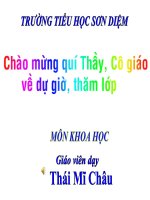 Nhu cầu nước của thực vật lớp 4