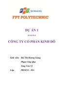 Phân tích công ty cổ phần tập đoàn Kinh Đô