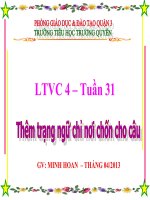 LT&C- tuan 31- Chi Hoan gui Q Huong