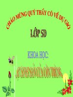 bai 56  su sinh san cua con trung