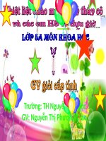 Bài 41: Năng Lượng Mặt Trời (Tự soạn)