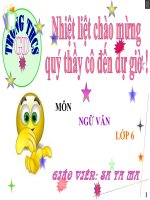 chữa lỗi về chủ ngữ và vị ngữ