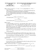 De thi HSG Toan 12-Nam Dinh 2013