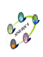 TIẾT 59: TUYẾN YÊN, TUYẾN GIÁP